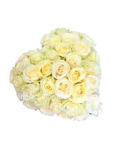 Cuore di rose bianche, 25 cm di diametro