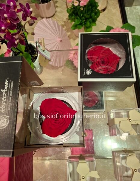 Rosa rossa stabilizzata a forma di cuore