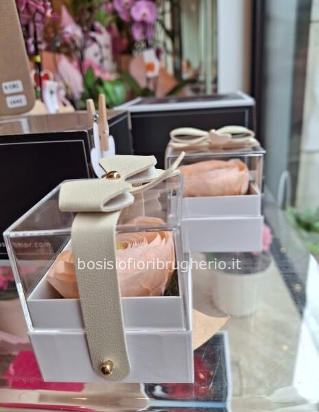 scatola in plexiglass con ranuncolo stabilizzato