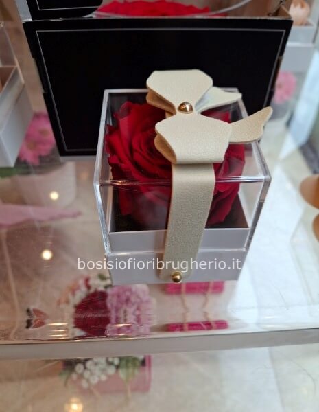 scatola in plexiglass con rosa stabilizzata