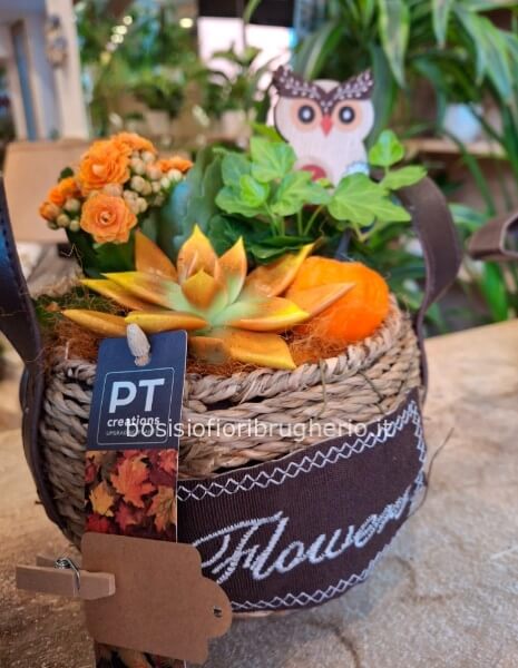 composizione di piante