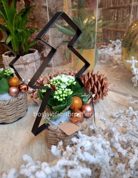 Composizione natalizia con kalancola