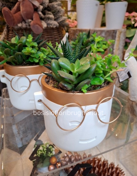 Composizione di piante grasse in vaso in ceramica