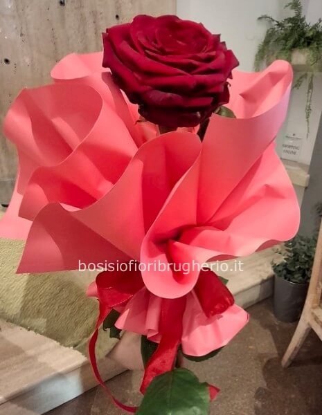 Rosa rossa gambo lungo confezionata singolarmente