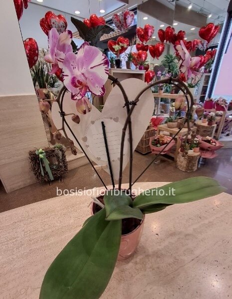 Orchidea a forma di cuore sui toni del rosa con vaso in ceramica
