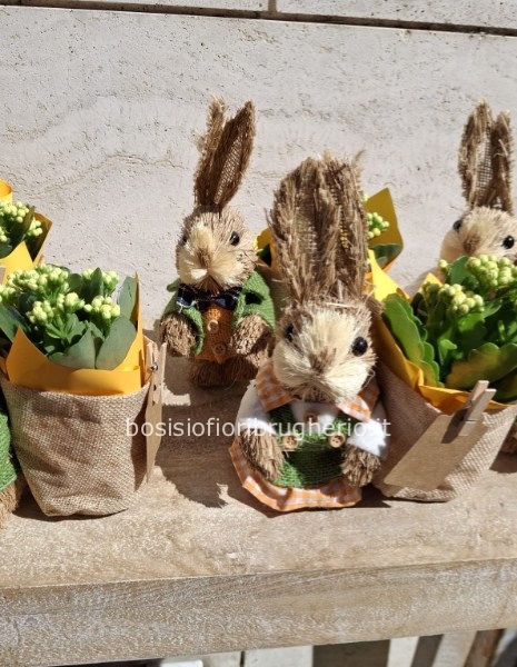 Coniglietto con kalancola