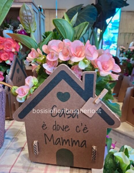 Casa è dove c'è mamma con begonia